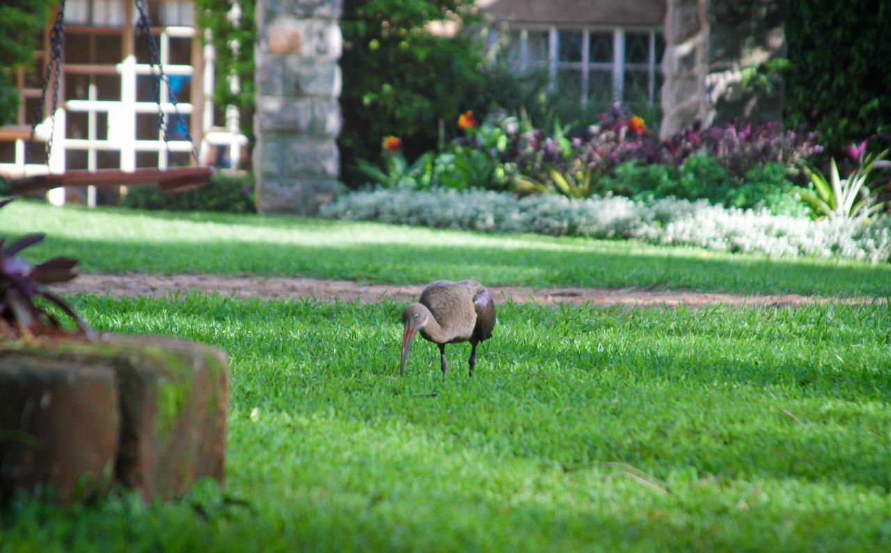 Amani Gardens Inn Nairobi Exteriér fotografie